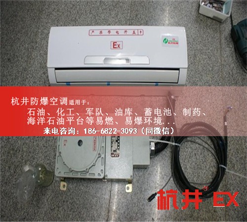 電站防爆空調(diào)機(jī)案例圖